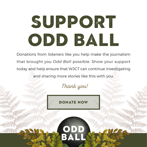 Support Odd Ball. Donations from listeners like you help make the journalism that brought you Odd Ball possible. Show your support today and help ensure that WJCT can continue investigating and sharing more stories like this with you. Thank you!